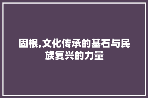 固根,文化传承的基石与民族复兴的力量