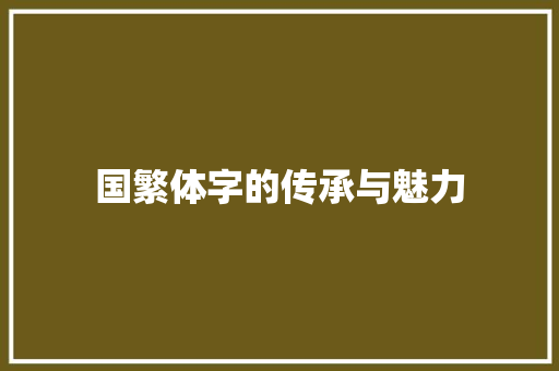 国繁体字的传承与魅力
