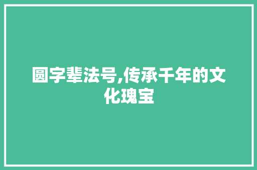 圆字辈法号,传承千年的文化瑰宝
