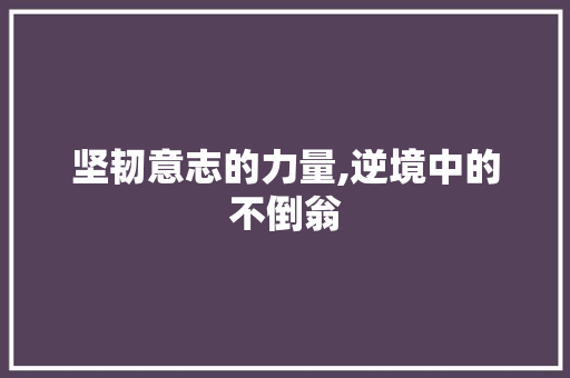 坚韧意志的力量,逆境中的不倒翁