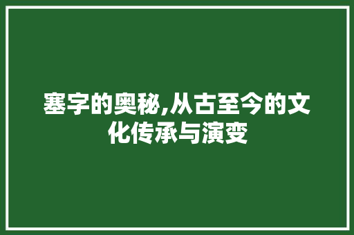 塞字的奥秘,从古至今的文化传承与演变