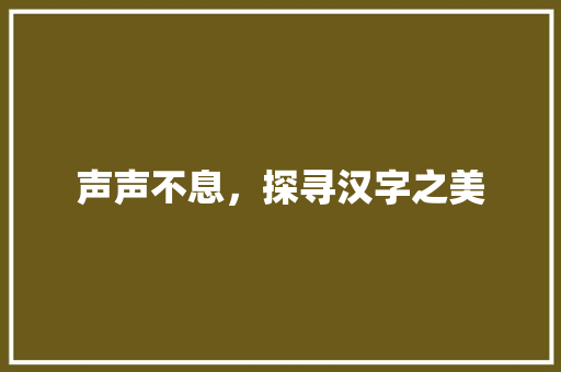 声声不息，探寻汉字之美