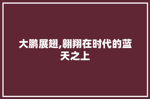 大鹏展翅,翱翔在时代的蓝天之上