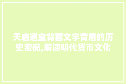 天启通宝背面文字背后的历史密码,解读明代货币文化