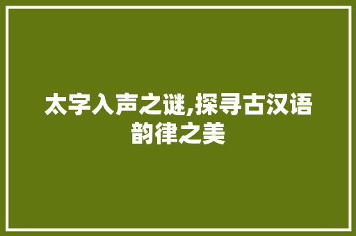 太字入声之谜,探寻古汉语韵律之美