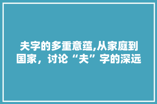夫字的多重意蕴,从家庭到国家，讨论“夫”字的深远内涵
