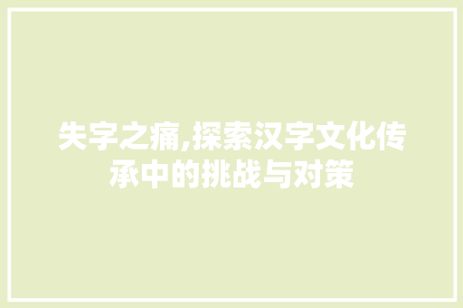 失字之痛,探索汉字文化传承中的挑战与对策