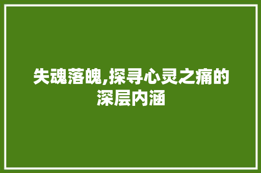 失魂落魄,探寻心灵之痛的深层内涵