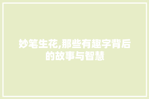 妙笔生花,那些有趣字背后的故事与智慧