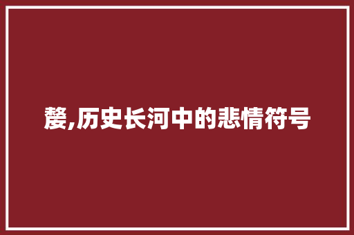 嫠,历史长河中的悲情符号