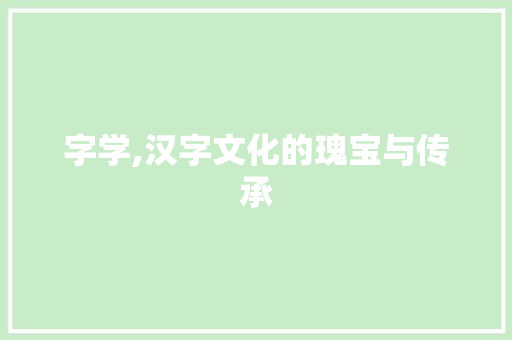 字学,汉字文化的瑰宝与传承