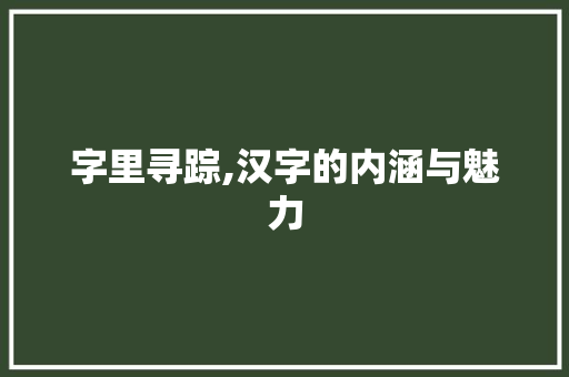 字里寻踪,汉字的内涵与魅力