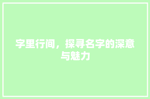 字里行间，探寻名字的深意与魅力