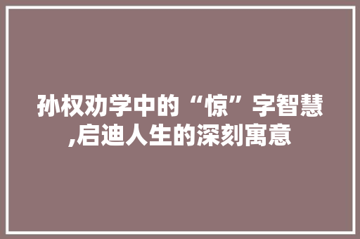 孙权劝学中的“惊”字智慧,启迪人生的深刻寓意