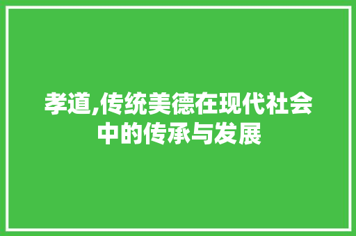 孝道,传统美德在现代社会中的传承与发展