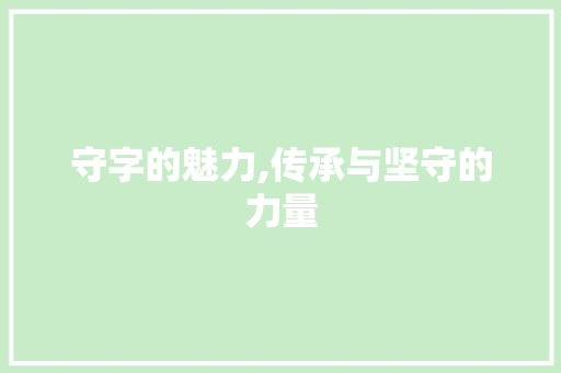 守字的魅力,传承与坚守的力量