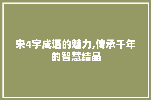 宋4字成语的魅力,传承千年的智慧结晶