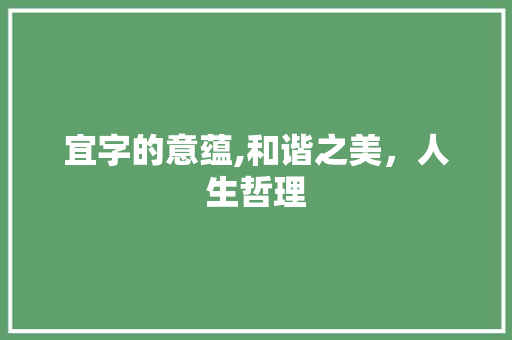 宜字的意蕴,和谐之美，人生哲理