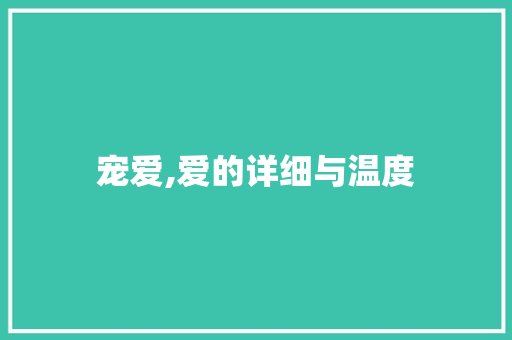 宠爱,爱的详细与温度