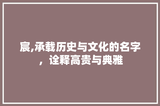宸,承载历史与文化的名字，诠释高贵与典雅