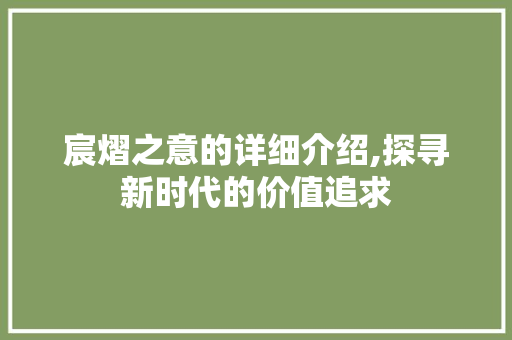宸熠之意的详细介绍,探寻新时代的价值追求