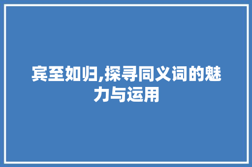 宾至如归,探寻同义词的魅力与运用