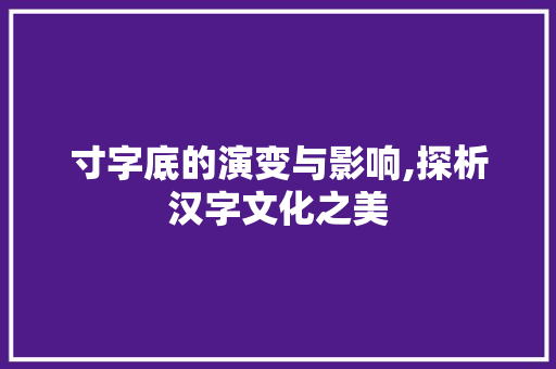寸字底的演变与影响,探析汉字文化之美