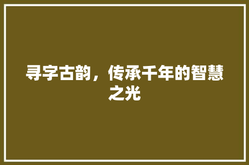 寻字古韵，传承千年的智慧之光