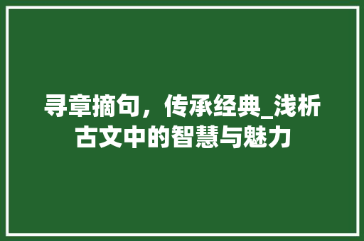寻章摘句，传承经典_浅析古文中的智慧与魅力