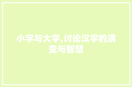 小字与大字,讨论汉字的演变与智慧