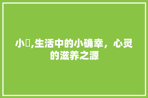 小憇,生活中的小确幸，心灵的滋养之源