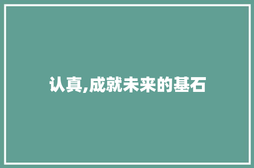 认真,成就未来的基石