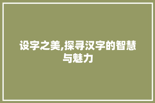 设字之美,探寻汉字的智慧与魅力