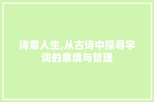 诗意人生,从古诗中探寻字词的意境与哲理