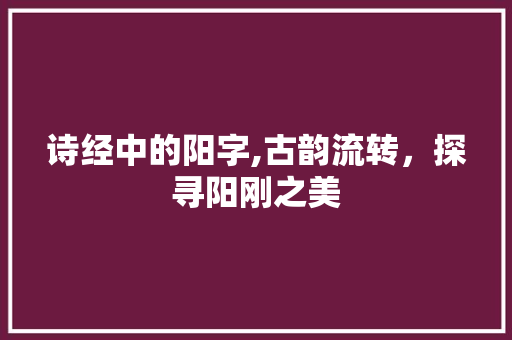 诗经中的阳字,古韵流转，探寻阳刚之美