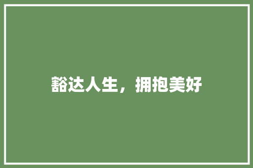 豁达人生，拥抱美好