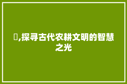 豙,探寻古代农耕文明的智慧之光