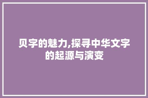 贝字的魅力,探寻中华文字的起源与演变