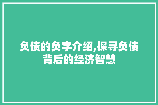 负债的负字介绍,探寻负债背后的经济智慧