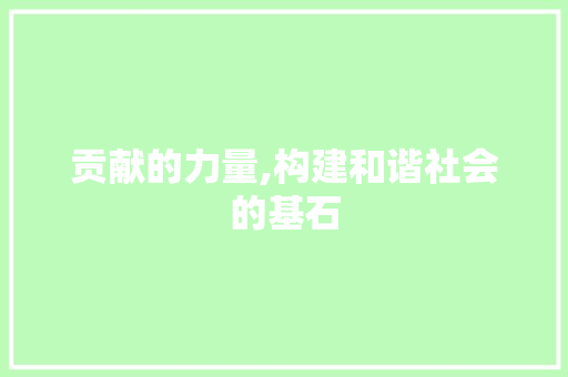 贡献的力量,构建和谐社会的基石
