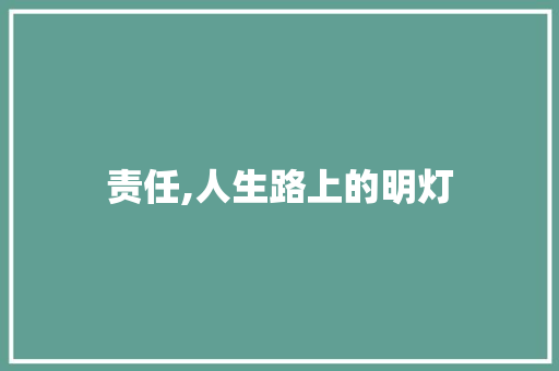 责任,人生路上的明灯