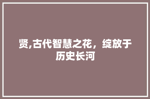 贤,古代智慧之花，绽放于历史长河