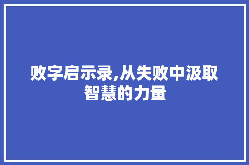 败字启示录,从失败中汲取智慧的力量