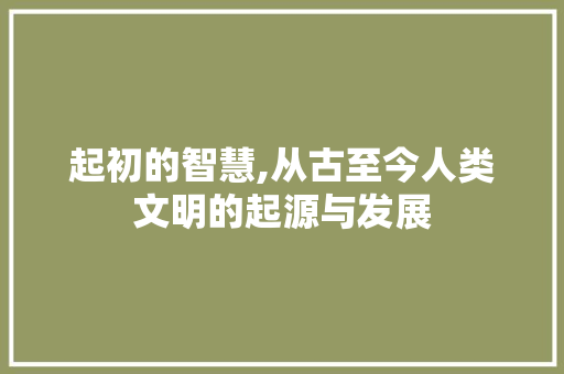 起初的智慧,从古至今人类文明的起源与发展