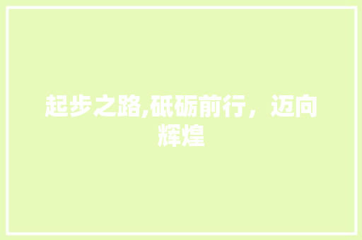 起步之路,砥砺前行，迈向辉煌