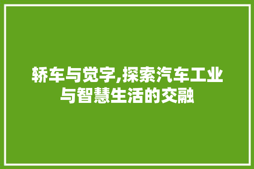 轿车与觉字,探索汽车工业与智慧生活的交融