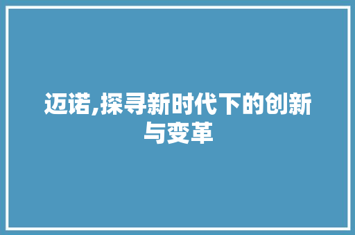迈诺,探寻新时代下的创新与变革