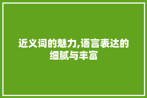 近义词的魅力,语言表达的细腻与丰富