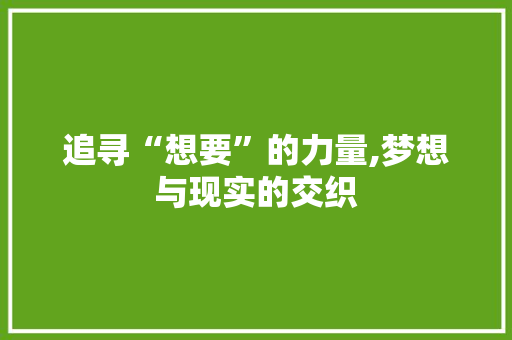 追寻“想要”的力量,梦想与现实的交织