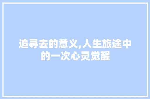 追寻去的意义,人生旅途中的一次心灵觉醒
